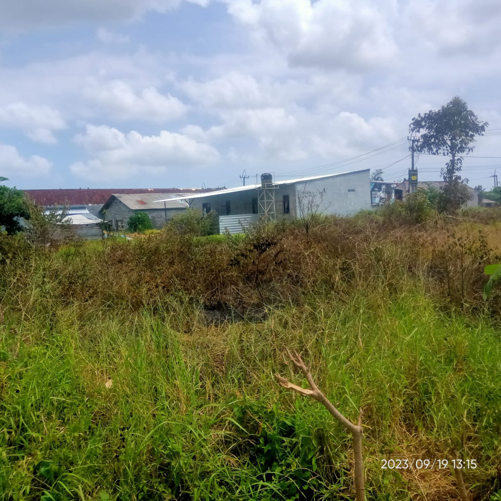 Kebakaran Alang-alang di TPA Gadon, Banjar Beringkit, Desa Kekeran, Kecamatan Mengwi Tanggal 19 September 2023